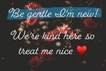 rules