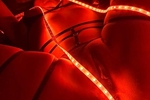 Red light pussy