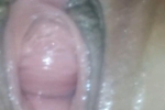 Pussy
