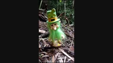 🍀Hot Goblin in the Forest  🤣🍀