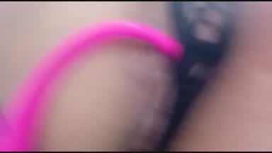 pussy