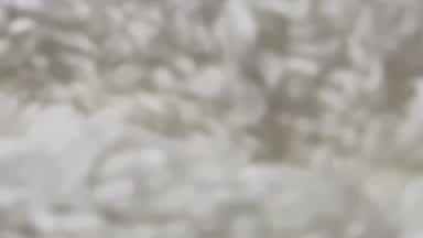 in doggy