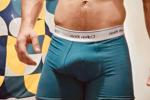 gato — Sexy and horny body