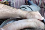 My Cock
