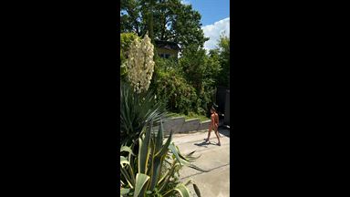 Gardening 2