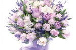 roses for Stella