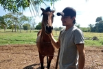 robin — in my Farm