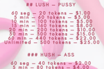 link control lovense toys