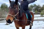🐴🥰
