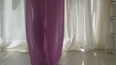 Legs