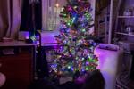 Holiday P*$$Y