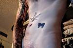 catfishbilly044 live streaming profile