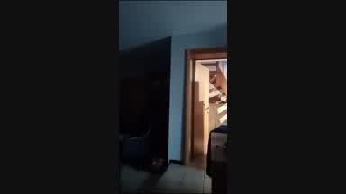 chicken dance