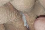 Cream pie
