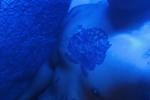 mark louie live Chaturbate webcam gallery thumbnail