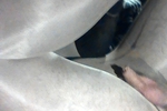 pantyhosepat โ encasement