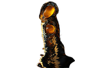 glass cock