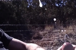 Bustin in the sun