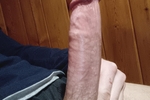 FULLY ERECT