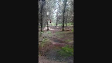 jack pergurtson live Chaturbate webcam gallery thumbnail