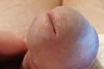 btwanderer live Chaturbate webcam gallery thumbnail