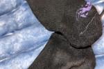 Socks & Panties for Sale