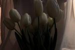 8th of March