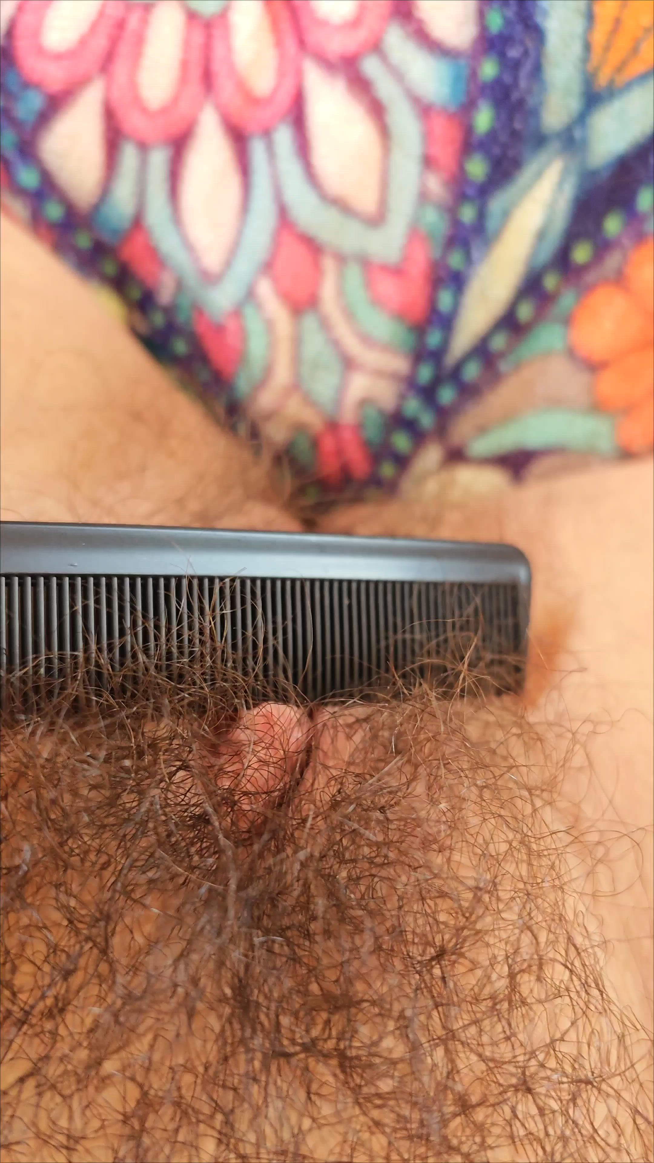 Brushing my bush -Hairy pussy closeup