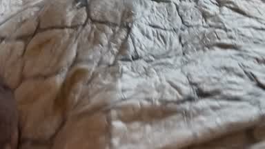 Balls in the ass