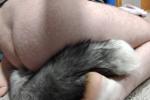 Tail Plug