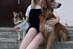 My pets