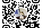my telegram channel