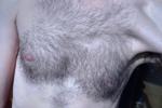 aristoxenus live streaming profile