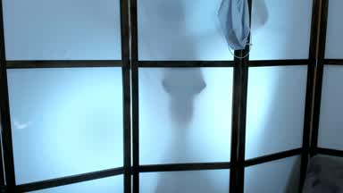 shadow show