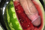 cock (SET)