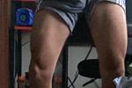 legs