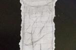 My cock drawing