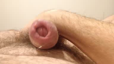 jayzeegee live Chaturbate webcam gallery thumbnail