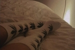 fav stockings