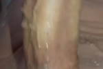 Donno