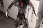 making my dolls