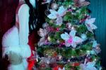 merry christmas 🎁