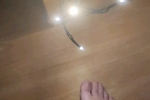 Toes