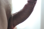 cock