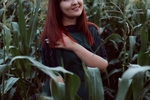Photoset in the field