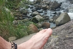 Feet