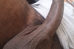 Some dick for you