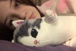 kitty