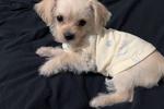 my baby