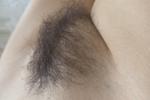simply bush